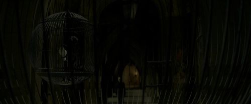 EdP-Potterish4181.jpg