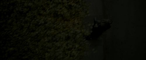 EdP-Potterish492.jpg