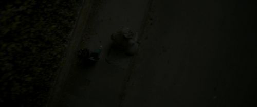 EdP-Potterish494.jpg