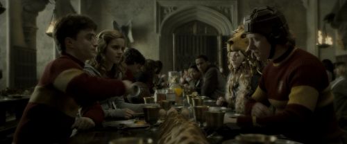 EdP-Potterish5835.jpg