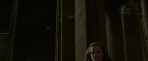 Click to view full size image
==============
EdP-Potterish6242.jpg EdP-Potterish6242.jpg