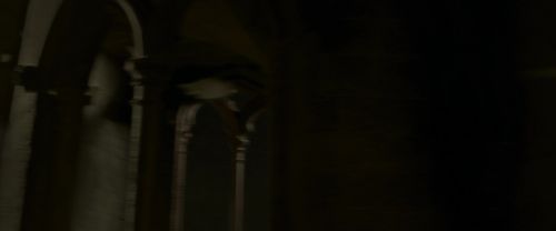 EdP-Potterish6248.jpg
