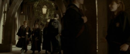 EdP-Potterish6349.jpg