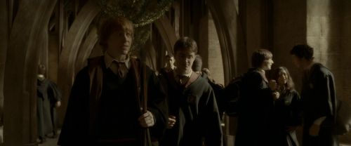 EdP-Potterish6365.jpg