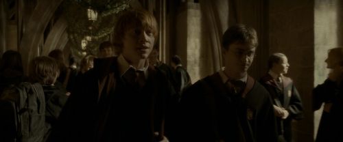 EdP-Potterish6372.jpg