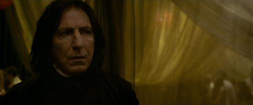 EdP-Potterish6732.jpg