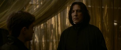EdP-Potterish6762.jpg