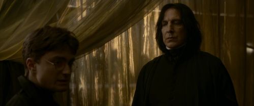 EdP-Potterish6764.jpg