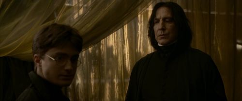 EdP-Potterish6765.jpg