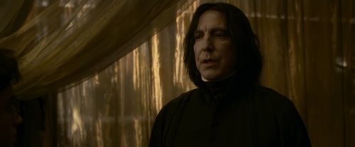 EdP-Potterish6785.jpg