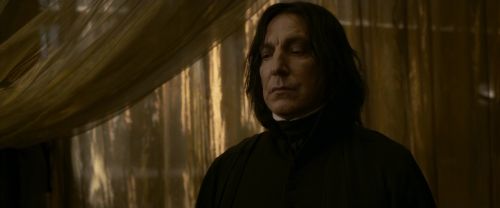 EdP-Potterish6791.jpg