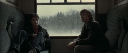 EdP-Potterish6966.jpg