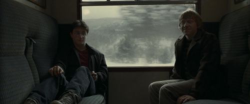 Click to view full size image
==============
EdP-Potterish7016.jpg EdP-Potterish7016.jpg