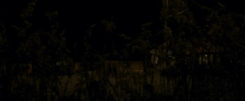 EdP-Potterish7221.jpg