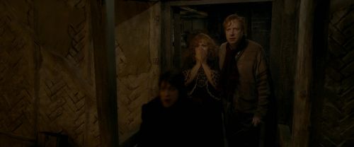 EdP-Potterish7480.jpg