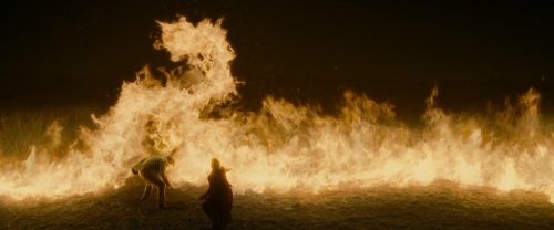 EdP-Potterish7492.jpg