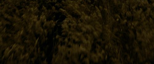 Click to view full size image
==============
EdP-Potterish7504.jpg EdP-Potterish7504.jpg