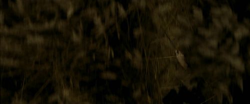 Click to view full size image
==============
EdP-Potterish7510.jpg EdP-Potterish7510.jpg