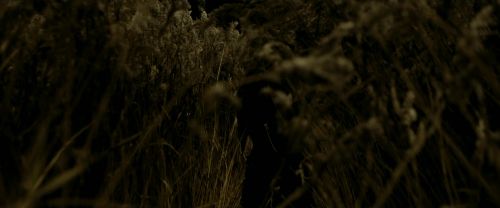 Click to view full size image
==============
EdP-Potterish7513.jpg EdP-Potterish7513.jpg