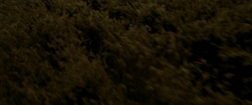 Click to view full size image
==============
EdP-Potterish7518.jpg EdP-Potterish7518.jpg