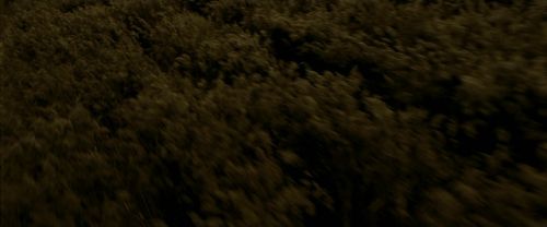 EdP-Potterish7519.jpg
