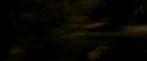 EdP-Potterish7526.jpg