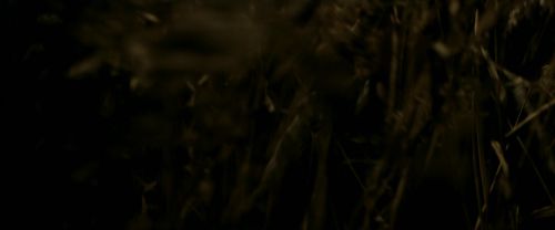 Click to view full size image
==============
EdP-Potterish7530.jpg EdP-Potterish7530.jpg