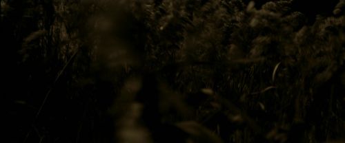 Click to view full size image
==============
EdP-Potterish7538.jpg EdP-Potterish7538.jpg