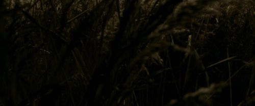 Click to view full size image
==============
EdP-Potterish7540.jpg EdP-Potterish7540.jpg