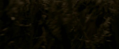 EdP-Potterish7549.jpg
