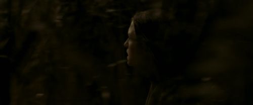 EdP-Potterish7557.jpg