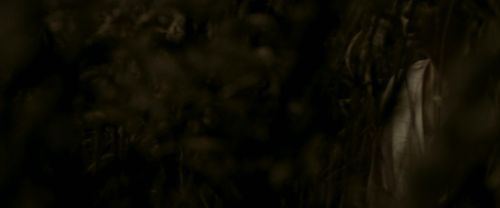 Click to view full size image
==============
EdP-Potterish7562.jpg EdP-Potterish7562.jpg
