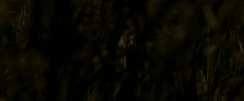 EdP-Potterish7563.jpg