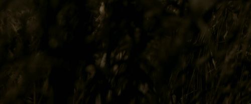 Click to view full size image
==============
EdP-Potterish7564.jpg EdP-Potterish7564.jpg