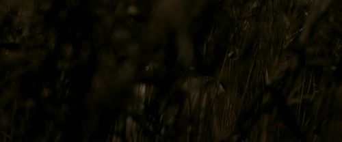 Click to view full size image
==============
EdP-Potterish7566.jpg EdP-Potterish7566.jpg