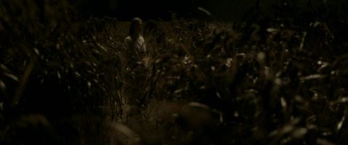 EdP-Potterish7568.jpg
