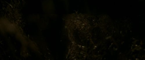 EdP-Potterish7574.jpg