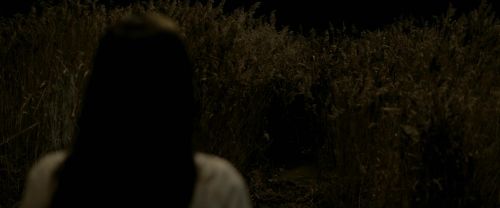 Click to view full size image
==============
EdP-Potterish7580.jpg EdP-Potterish7580.jpg