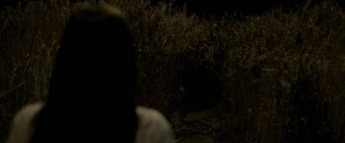 EdP-Potterish7582.jpg
