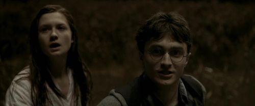 EdP-Potterish7605.jpg