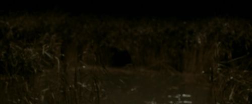 Click to view full size image
==============
EdP-Potterish7609.jpg EdP-Potterish7609.jpg