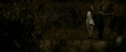 EdP-Potterish7612.jpg