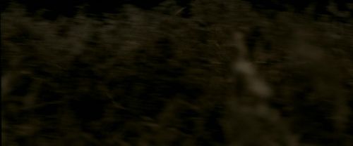 Click to view full size image
==============
EdP-Potterish7614.jpg EdP-Potterish7614.jpg