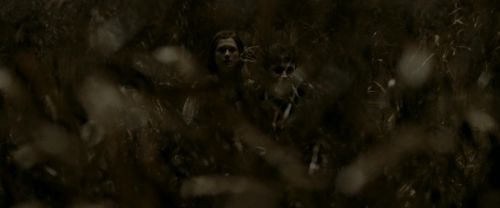 Click to view full size image
==============
EdP-Potterish7620.jpg EdP-Potterish7620.jpg