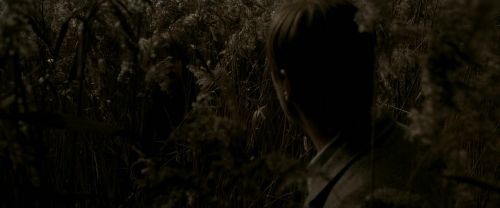 EdP-Potterish7648.jpg