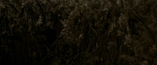 Click to view full size image
==============
EdP-Potterish7652.jpg EdP-Potterish7652.jpg
