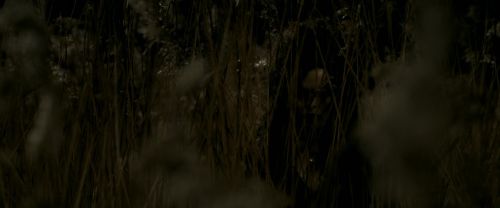 Click to view full size image
==============
EdP-Potterish7681.jpg EdP-Potterish7681.jpg