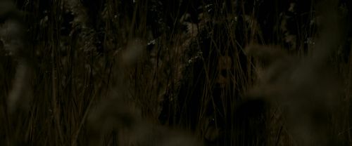 Click to view full size image
==============
EdP-Potterish7683.jpg EdP-Potterish7683.jpg