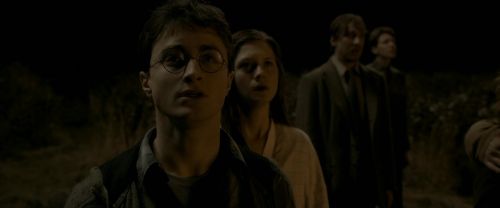 EdP-Potterish7747.jpg