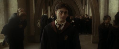 Click to view full size image
==============
EdP-Potterish7795.jpg EdP-Potterish7795.jpg
